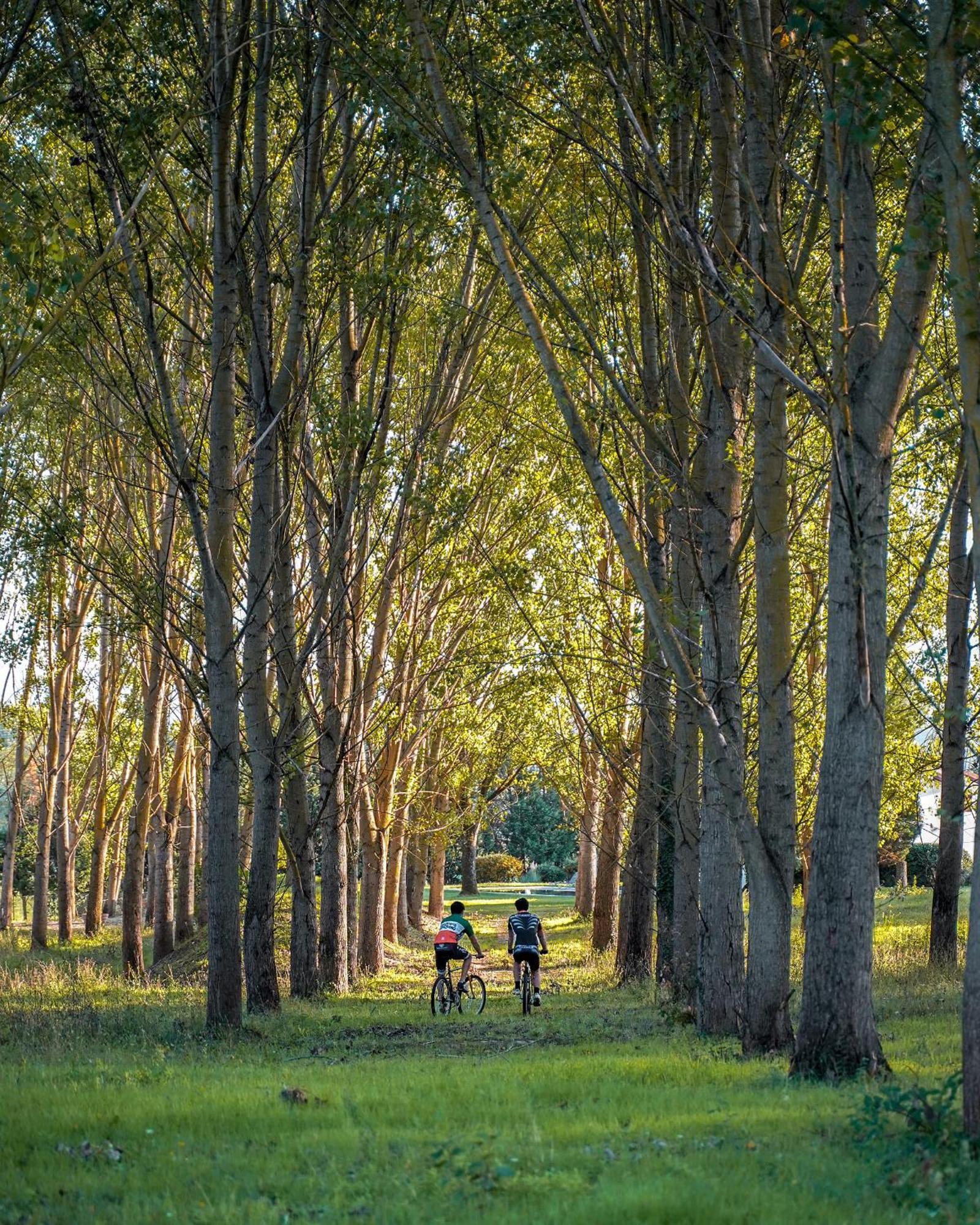 Viesca Suites & Villas Il Borro Toscana Reggello Luaran gambar